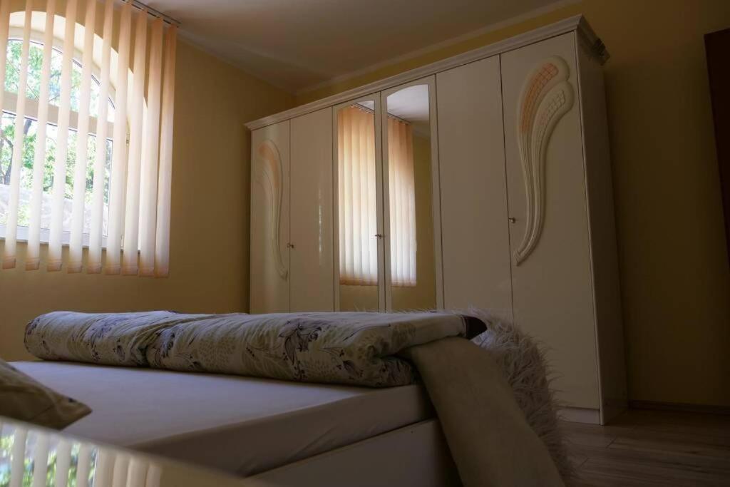 רייקה Apartman Carsko מראה חיצוני תמונה