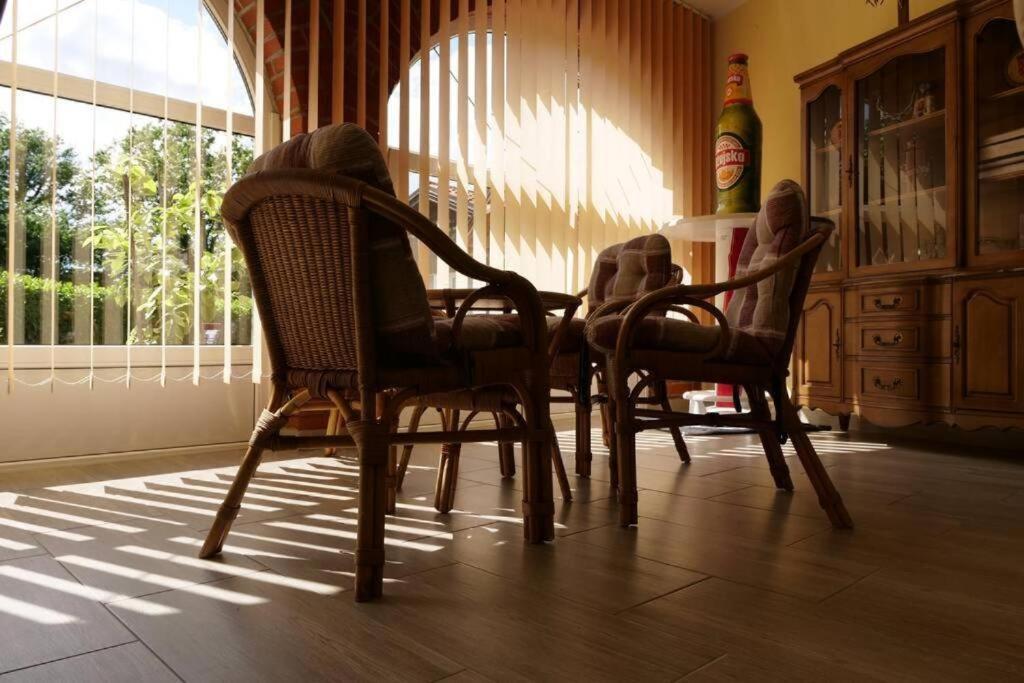רייקה Apartman Carsko מראה חיצוני תמונה